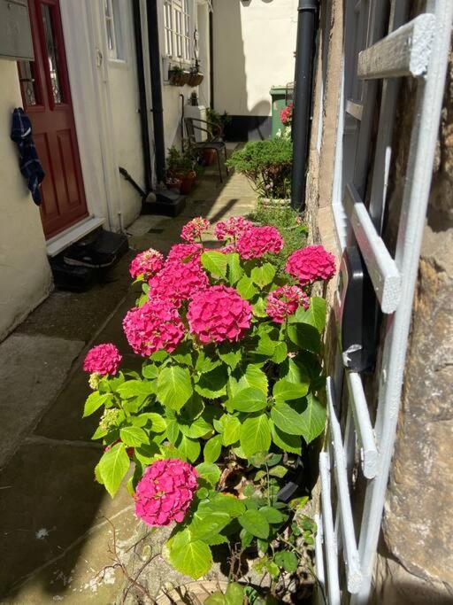 Cosy 400Yr Old Cottage, Flowergate, Whitby, Sleeps 6 Exterior photo